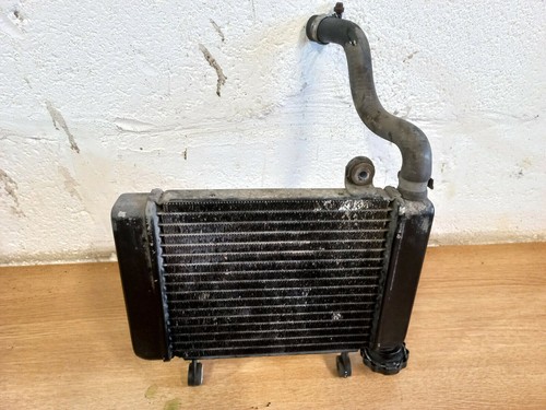 Honda cbr125 radiator 2009 - honda,